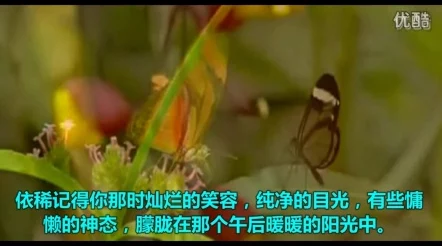 婷婷七月丁香派出所的故事1999版传递温暖与关爱共筑和谐社会