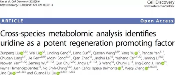 啊啊啊啊啊用力近日科学家发现了一种新型可再生能源技术，能够显著提高能源利用效率