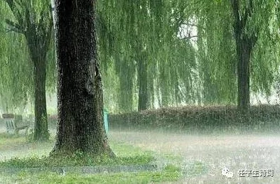 宝贝好紧3p好雨知时节，愿我们在生活的每个阶段都能迎来及时的甘霖与希望