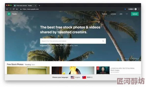 欧美freepicturessxxx更新资源持续上线优化用户体验