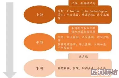 性伦交爱研究取得新进展揭示关键基因表达模式