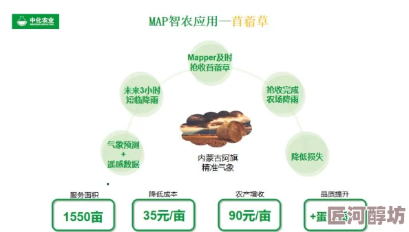 91肥熟最新研究显示肥料使用优化可显著提高作物产量