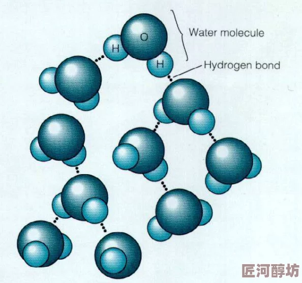 啊啊啊啊好湿近日科学家发现新型水分子结构或将改变我们对水的理解