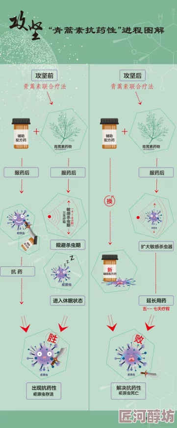 欧美顶级研发团队宣布重大突破新一代产品即将进入测试阶段