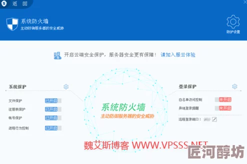 欧美vpswindowssex 探索欧美地区Windows VPS服务器的性能价格及适用场景