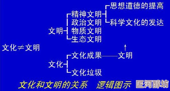 抖乳 探讨其在不同文化语境下的社会认知及相关影响