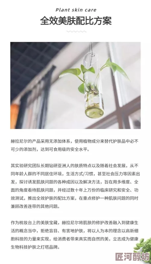 两根茎同时进去探索双生植物地下根系连接与养分传输的奥秘