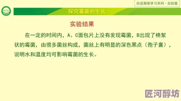 咬我探索蚂蚁的咬人机制及其在生物学和医学领域的潜在应用