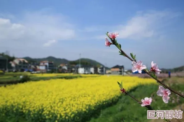 乐缤纷庄园游戏震撼推出：限时活动大放送，惊喜福利等你来拿，不容错过！