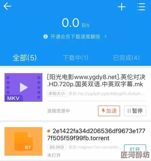 拔插拔插8x海外华人免费观看我最新高清资源已上线流畅播放等你来看