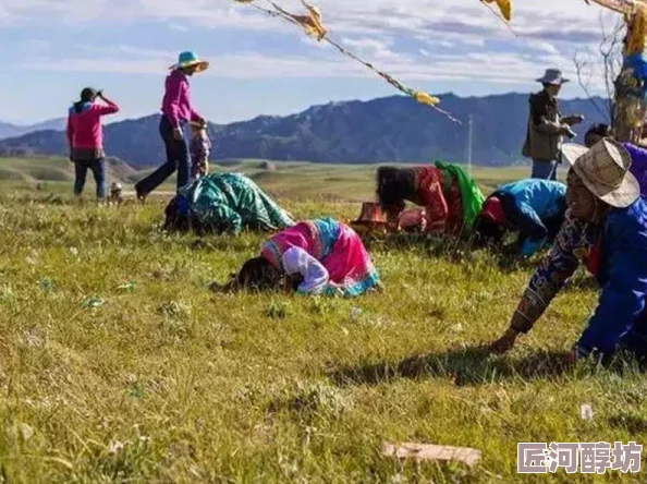 保卫萝卜4攻略揭秘：秋天的第一杯奶茶第五关通关秘籍，惊喜消息！解锁全新隐藏关卡指南