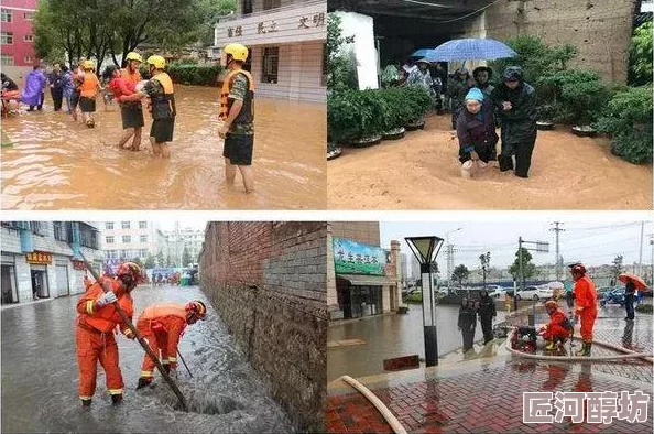 闪耀战记日常刷图攻略大揭秘：褥羊毛技巧让你惊喜连连，效率翻倍秘籍！