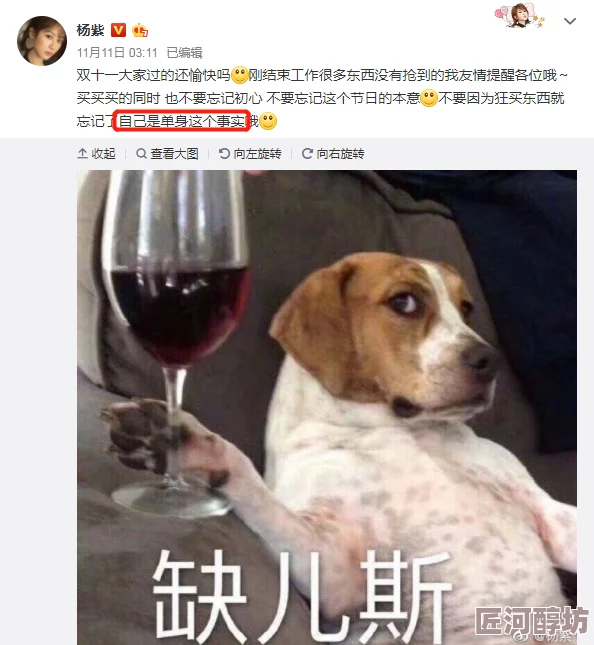 色狗av疑似与知名网红合作引发网友热议