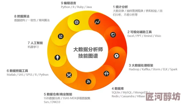 超数据世界深度探索：最新角色定位、技能解析与攻略指南