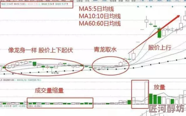 探寻传奇游戏的最初形态：哪个版本是真正的原始版？