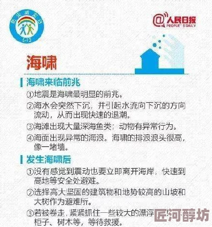 地铁逃生：深入对比黑版与白版的优劣选择指南